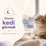 rüyada kedi görmek görseli