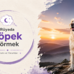 rüyada köpek görmek görseli